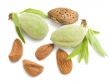  young almonds