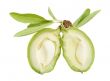 Open young almond