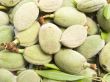 almonds nuts