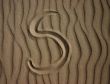 Letter S