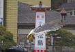Seagull flight in an Asian town