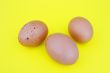 easter eggs