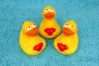 rubber duck family