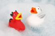angel and devil duck
