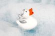 angel duck