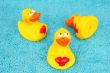 ducks on towel