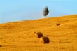 straw bale