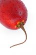 fresh tamarillo
