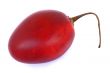 tamarillo isolated