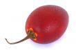 water spray tamarillo