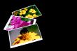 summer photos with copyspace