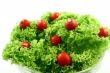 Red dots in green