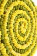 circles