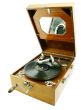 Playing record