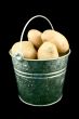 Potato`s bucket