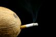 coconut smoker