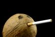 Delicious cigarette