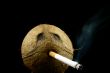 Cigarette in coconut