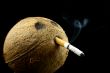 Long smoking
