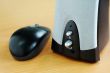 Mouse and speaker