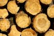 Wooden background