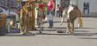 Street music perfomance