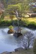 Japanese garden