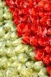 Red and white roses