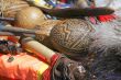 The Andes instruments- maracas