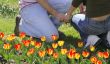 Spring love