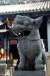 Stone lion of Chinese temple