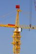 Chinese crane