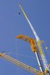 High cranes