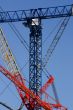 Cranes