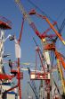Lot of cranes