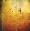 Great for textures and backgrounds