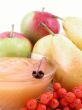 fruity jam