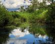 Sumer water landscape