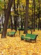 Empty bench in urban park in autumn