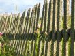 Old lopsided fence cover with lichen