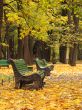 Empty benches