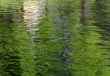 Abstract pond background