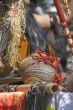 The Andes instruments- maracas