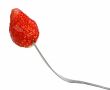 Strawberry in fork