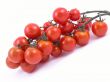cherry tomatoes