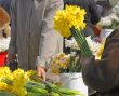 Flowers market