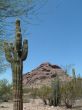 Arizona Desert