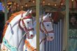 Carousel 1