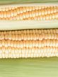 corn on the cob