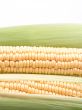 corn on the cob